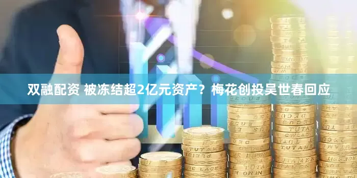 双融配资 被冻结超2亿元资产？梅花创投吴世春回应
