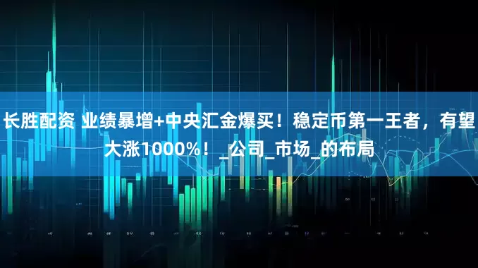 长胜配资 业绩暴增+中央汇金爆买！稳定币第一王者，有望大涨1000%！_公司_市场_的布局