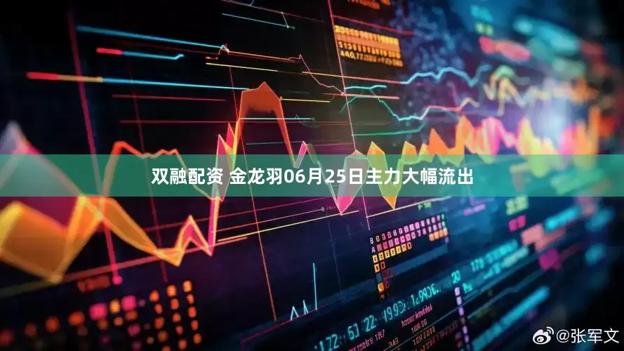 双融配资 金龙羽06月25日主力大幅流出