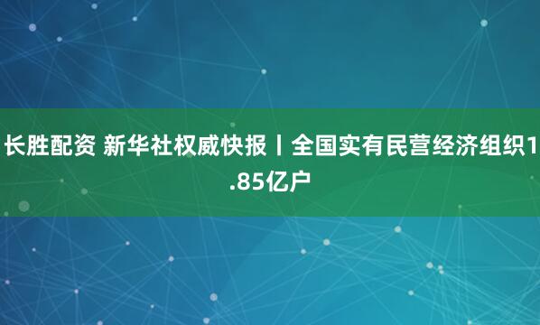 长胜配资 新华社权威快报丨全国实有民营经济组织1.85亿户