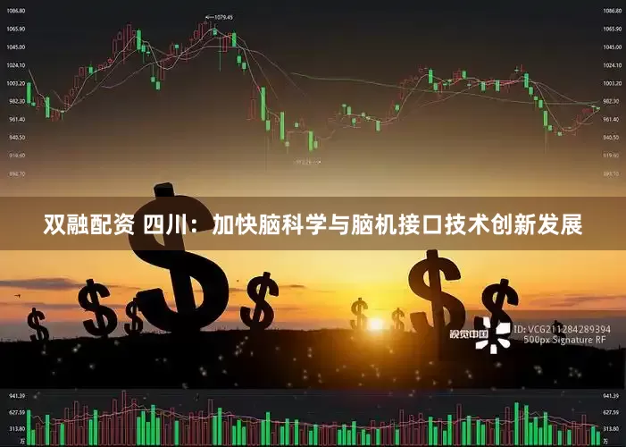 双融配资 四川：加快脑科学与脑机接口技术创新发展