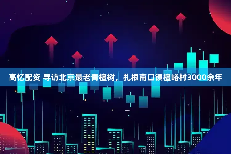 高忆配资 寻访北京最老青檀树，扎根南口镇檀峪村3000余年