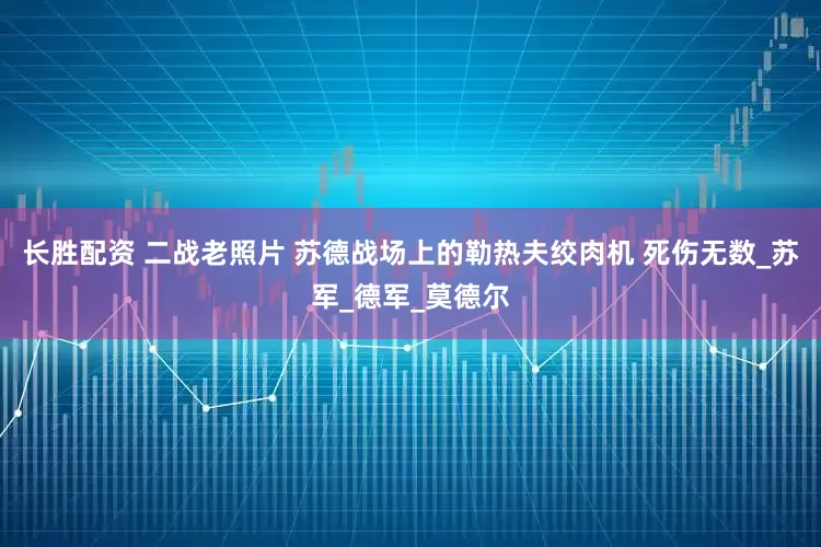 长胜配资 二战老照片 苏德战场上的勒热夫绞肉机 死伤无数_苏军_德军_莫德尔